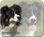 Mousepad Border Collie